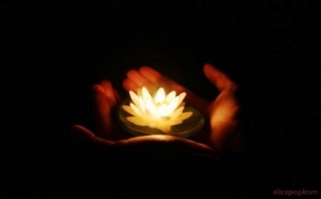 “Đi dưới núi làm một con trâu”